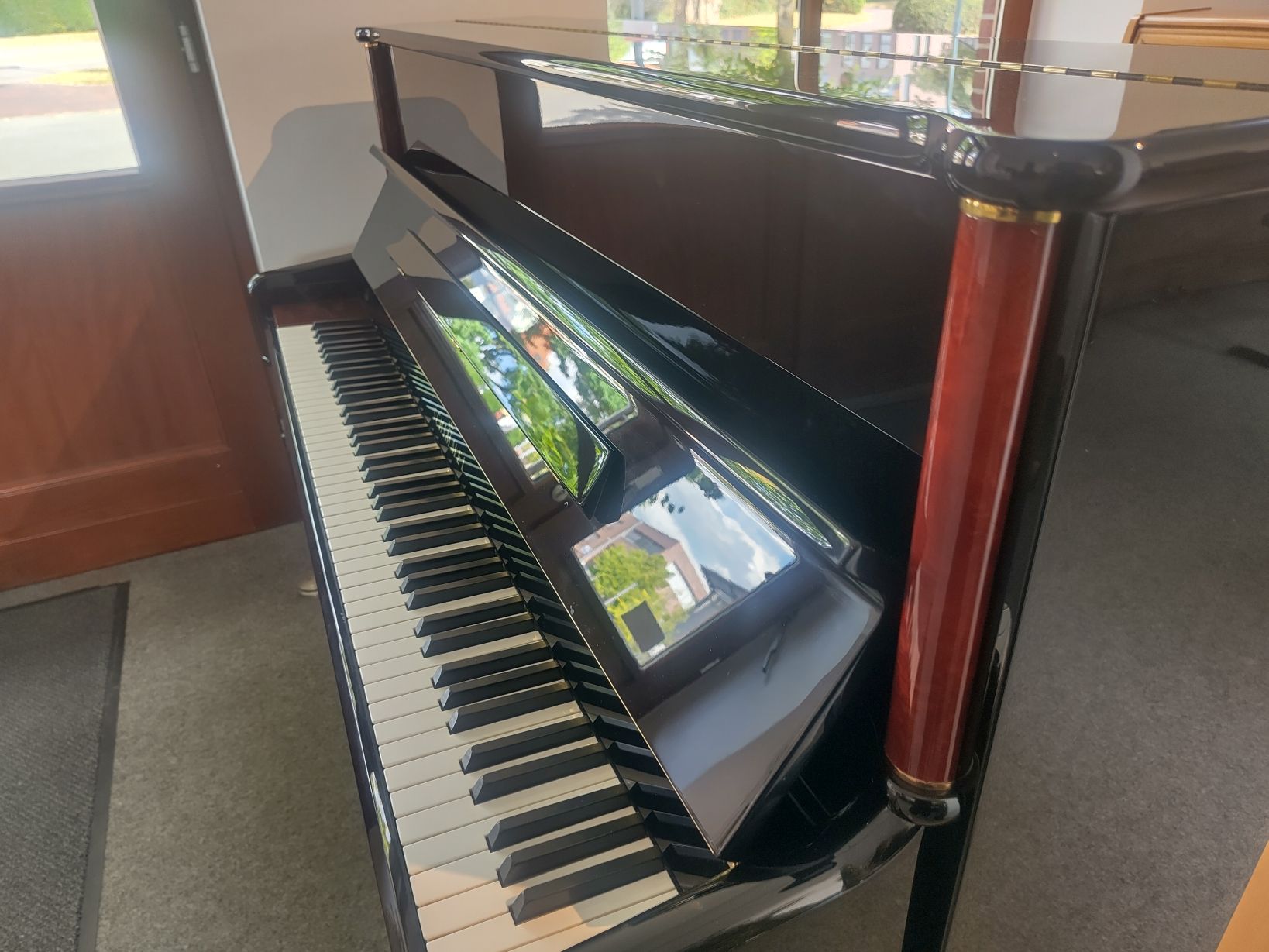 Schimmel120TN